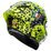 AGV PISTA GP RR Helmet